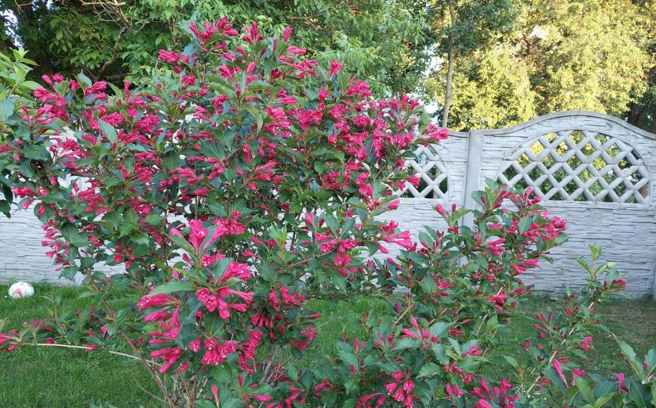 Magnolia Gospodarstwo Agroturystyczne Kazimierz Dolny Esterno foto