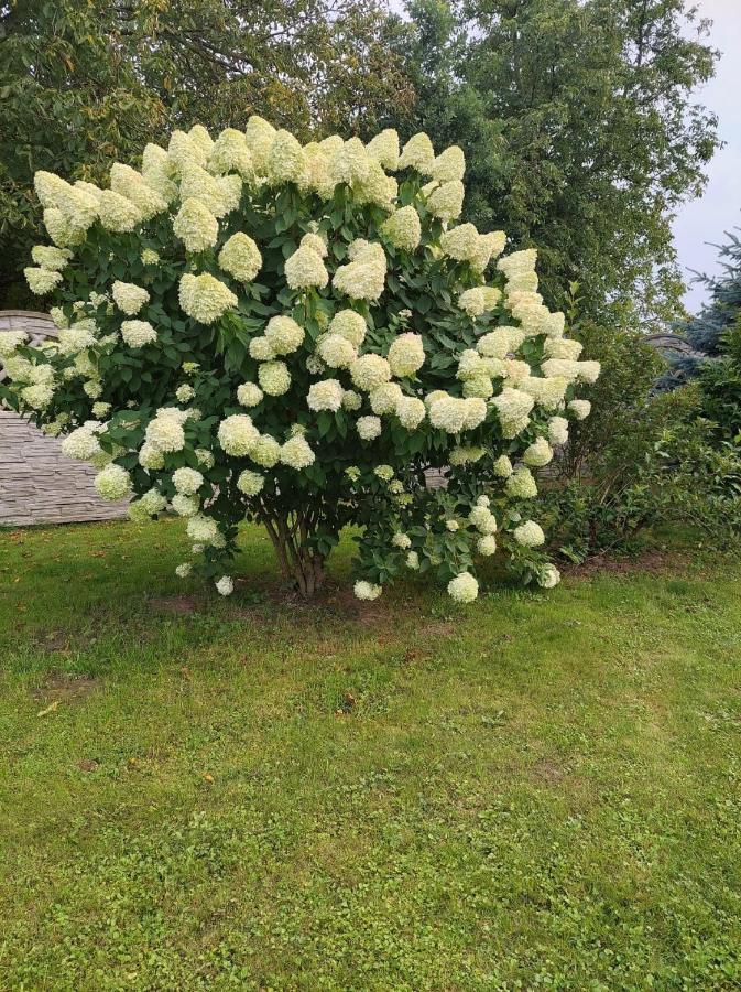 Magnolia Gospodarstwo Agroturystyczne Kazimierz Dolny Esterno foto